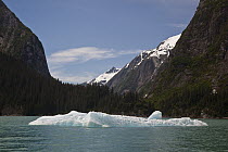 Iceberg in Tracy Arm in front of glacier-carved valley, Tracy Arm-Fords Terror Wilderness, Tongass National Forest, Alaska