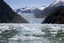 South Sawyer Glacier and bay full of bergy bits, Tracy Arm-Fords Terror Wilderness, Tongass National Forest, Alaska