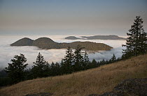 Entrance Mountain and Mount Woolard emerge from sea fog around Orcas Island, San Juan Islands, Washington