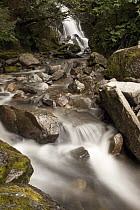 Unnamed waterfall along South Tongass Highway, Ketchikan, Alaska