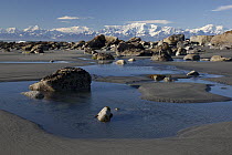 View from Ocean Cape toward Mount Logan across rocky beachbeachs, Alaska