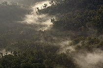 Morning fog over rainforest, New Britain Island, Papua New Guinea