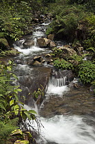 River within the Junin Community Reserve with small cascades, Intag Valley, northwest Ecuador