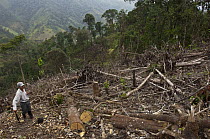 Slash and burn clearing, Intag Valley, northwest Ecuador