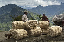 Sisal rope waiting for transport into town, San Antonio, Intag Valley, northwest Ecuador