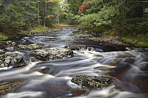 Autumn stream, Liscomb Game Sanctuary, Nova Scotia, Canada