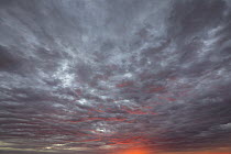 Sky at dawn, Uluru-kata Tjuta National Park, Northern Territory, Australia