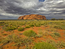 Ayers Rock, Uluru-kata Tjuta National Park, Northern Territory, Australia