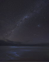Beach and stars in night sky, Apollo Bay, Otway National Park, Victoria, Australia