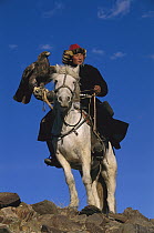 Golden Eagle (Aquila chrysaetos) and Kazakh on horse at second annual eagle festival, Mongolia
