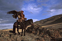 Golden Eagle (Aquila chrysaetos) and Kazakh on horse at festival, Mongolia