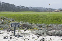 Ironic sign near golf course in coastal dunes, Asilomar State Beach, Pacific Grove, California