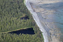 Taiga and lake shore, Yakutat Bay, Tongass National Forest, Yakutat, Alaska