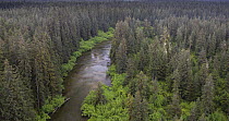 Boreal forest and Situk River, Tongass National Forest, Yakutat, Alaska