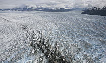 Hubbard Glacier, Gilbert Point, Wrangell-St. Elias National Park, Alaska