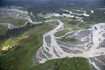 Kwik Stream in taiga, Wrangell-St. Elias National Park, Alaska