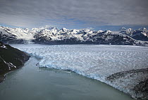 Hubbard Glacier encroaching on Gilbert Point, Wrangell-St. Elias National Park, Alaska