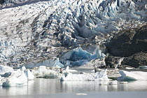 Terminal moraine and glacial lake, Mendenhall Glacier, Juneau, Alaska