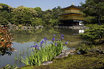 Kinkaku-ji Temple and pond, Kyoto, Japan
