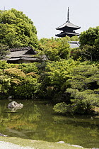 Ninna-ji Temple and pond in autumn, Kyoto, Japan