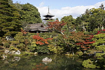 Ninna-ji Temple in autumn, Kyoto, Japan