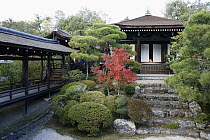 Ninna-ji Temple in autumn, Kyoto, Japan