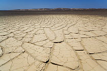 Drought patterns in coastal mud plains, Skeleton Coast, Namib Desert, Namibia