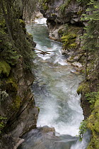 Yoho River flowing through chasm, Yoho National Park, British Columbia, Canada