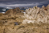 Folded limestone layers, Kaikoura, North Canterbury, New Zealand