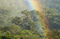 Rainbow over rainforest canopy, Costa Rica
