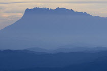 Gunung Kinabalu at sunrise seen from the summit ridge of Gunung Trus Madi, Sabah, Borneo, Malaysia