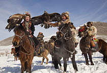 Golden Eagle (Aquila chrysaetos) group used for hunting, with their Kazak handlers competing at winter festival, Mongolia