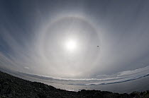 Sundog, also known as mock suns, Antarctic Peninsula, Antarctica