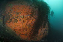 Wreck of the Bahia Paraiso and diver, Palmer Station, Antarctic Peninsula, Antarctica