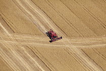Combine harvester in field, Western Cape, South Africa