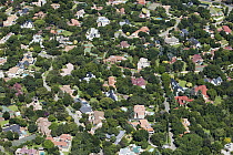 Green suburbs, Sandton, Gauteng, South Africa