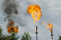 Gas burn-off stations along Napo River, Amazon, Ecuador