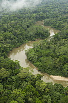 Tiputini River and rainforest, Yasuni National Park, Amazon, Ecuador