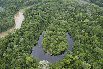 Tiputini River and oxbow lake in rainforest, Yasuni National Park, Amazon, Ecuador