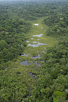 Swamp aerial, Yasuni National Park, Amazon, Ecuador