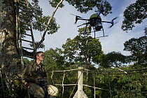 Scientist Shawn McCracken flying his octocopter used for canopy research, Yasuni National Park, Amazon, Ecuador