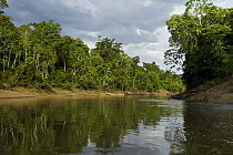 Tiputini River, Yasuni National Park, Amazon, Ecuador