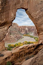 Natural arch with river valley in the background, Canyon de Chelly National Monument, Arizona