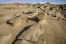 Mushroom hoodoo rock formations, Bisti Wilderness Area, New Mexico