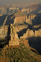 North rim of the Grand Canyon, Arizona