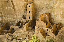 Native American ruins, Mesa Verde National Park, Colorado