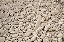 Limestone rocks in dry river bed, Hawf Protected Area, Yemen