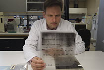 Kakapo (Strigops habroptilus) researcher reviewing genetic sequence, Dunedin, Otago, New Zealand
