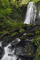 Matai Falls, Catlins, South Island, New Zealand
