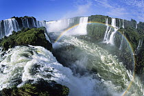 Cascades of the Iguacu Falls, the world's largest waterfalls, with rainbow, Iguacu National Park, border of Brazil and Argentina
